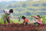 © 2009 Nikki Sandino M. Victoriano, Courtesy of Photoshare. Siblings in the Philippines plant tree seedlings in hopes of restoring the denuded forest for the next generation. Open pit mining and a stone quarrying operation left this field treeless.